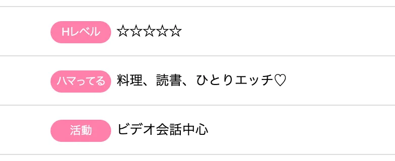 vi-voプロフィール